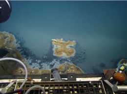 В Мексиканском заливе ученые обнаружили смертоносное озеро