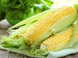 Хрущев бы гордился: как Украина заменила США на мировом рынке кукурузы