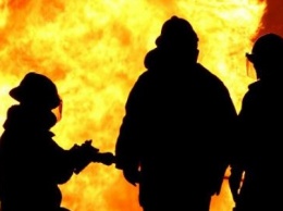 На Херсонщине в пожарах погибли 14 человек