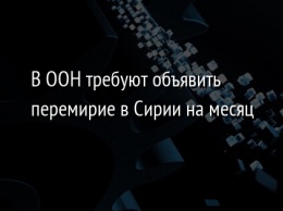 В ООН требуют объявить перемирие в Сирии на месяц