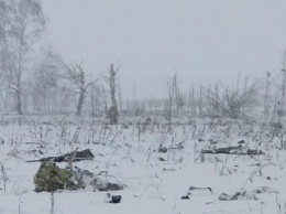 Стали известны новые факты крушения пассажирского самолета под Москвой