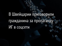 В Швейцарии приговорили гражданина за пропаганду ИГ в соцсети