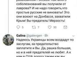 Подписчики Климкина сожалеют, что слишком мало россиян погибло в авиакатастрофе под Москвой
