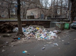 Жители Днепра жалуются на стихийные свалки