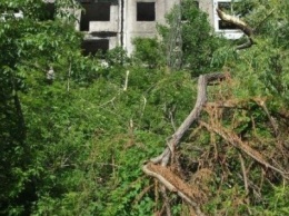 На сайте петиций предлагают очистить трущобы в Каменском