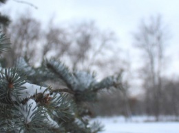 Заснеженная "Дубовка": запорожцы лепят снеговиков и кормят уток, - ФОТОРЕПОРТАЖ