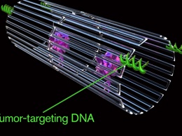 Ученые из Китая создали нанороботов, уничтожающих раковые клетки