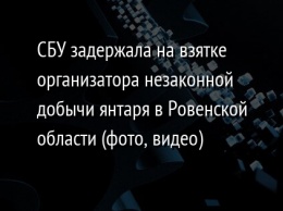 СБУ задержала на взятке организатора незаконной добычи янтаря в Ровенской области (фото, видео)