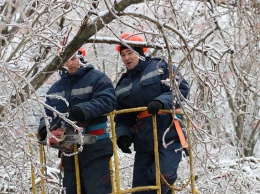 Из-за обледеневших деревьев в Бердянске происходят аварии