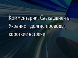 Комментарий: Саакашвили в Украине - долгие проводы, короткие встречи
