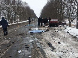 ДТП на Винничине: MAN уничтожил ВАЗ 2108 - погибло двое. ФОТО