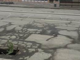Проблему открытой ливневки в центре Кривбасса "решили", воткнув в нее сосну (ФОТО)