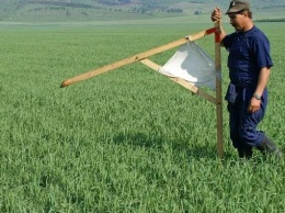 Стали известны даты передачи сельхозземель госсобственности в ОТГ Николаевской области