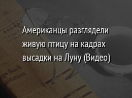 Американцы разглядели живую птицу на кадрах высадки на Луну (Видео)