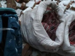 Днепровские копы «на горячем» задержали нескольких воров (ФОТО)