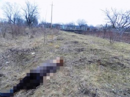 Житель Одесской области забил до смерти свою девушку и может сесть на 8 лет