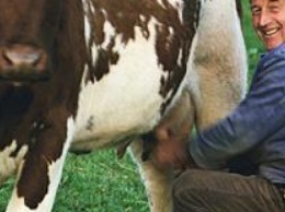 Владельцам коров придется объединяться в молочные кооперативы, чтобы выживать