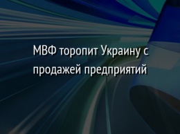 МВФ торопит Украину с продажей предприятий