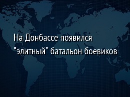 На Донбассе появился "элитный" батальон боевиков