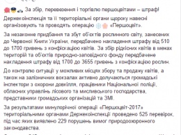 В Минэкологии предупредили о серьезных штрафах за продажу первоцветов