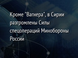 Кроме "Вагнера", в Сирии разгромлены Силы спецопераций Минобороны России