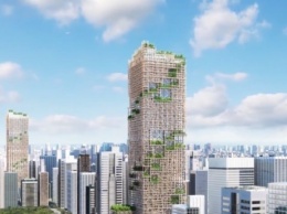 Небоскреб из дерева планируют построить в Токио