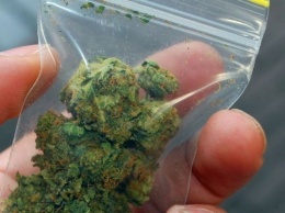 У жителя Днепропетровщины обнаружили пакеты с марихуаной