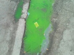 Херсонцы испугались зеленой жидкости на улицах города