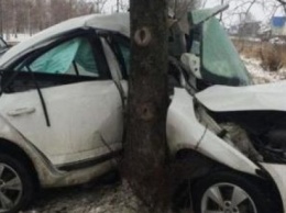 На трассе Старобельск-Луганск-Донецк авто влетело в дерево, водитель погиб
