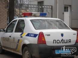 Полицейские Кривого Рога задержали воров «на горячем»