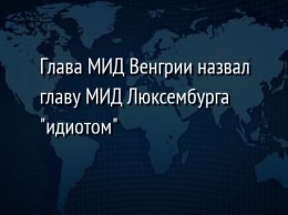 Глава МИД Венгрии назвал главу МИД Люксембурга "идиотом"