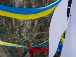 Деревья усыпаны ангелочками: в центре Киева прошла тихая акция в честь Небесной сотни