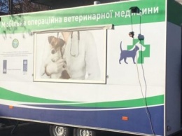 В Мариуполе бездомных собак стерилизуют и заставят работать на людей (ВИДЕО+ФОТО)