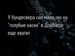 У бундесвера сил мало, но на "голубые каски" в Донбассе еще хватит