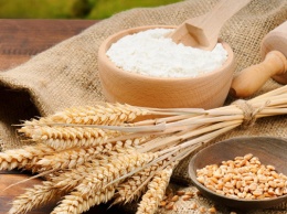 Иранские компании решили выращивать зерновые в Украине