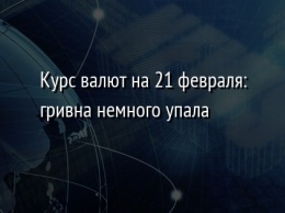 Курс валют на 21 февраля: гривна немного упала