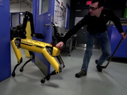 Робот-собака Boston Dynamics оказала сопротивление человеку