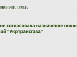 СБУ не согласовала назначение поляка главой "Укртрансгаза"