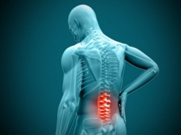 Ученые: кислородные радикалы необходимы для излечения травм спинного мозга