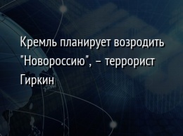 Кремль планирует возродить "Новороссию", - террорист Гиркин