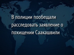 В полиции пообещали расследовать заявление о похищении Саакашвили