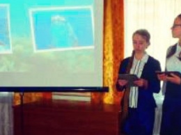 Черноморские экологи провели конкурс презентаций «Разумный океан. Дельфины»