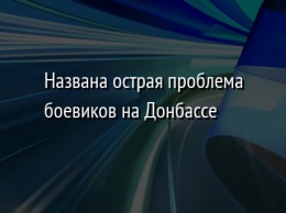 Названа острая проблема боевиков на Донбассе