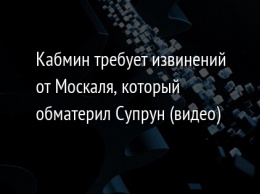 Кабмин требует извинений от Москаля, который обматерил Супрун (видео)