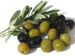 Диета с оливками - потеря веса и омолаживание
