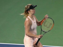 Свитолина вышла в финал теннисного турнира в Дубае