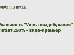 Прибыльность "Укргазвыдобування" достигает 250% - вице-премьер