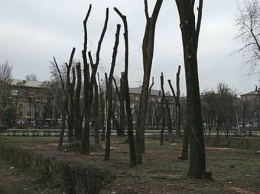 В Запорожье пройдет митинг за сохранение сквера возле цирка