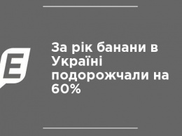 За год бананы в Украине подорожали на 60%