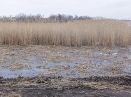 На Днепропетровщине восстанавливают гидрологический режим притока Орели